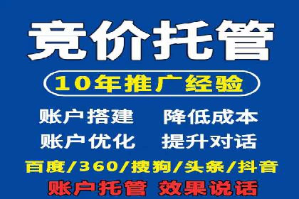 某电商平台的SEM服务托管全流程案例
